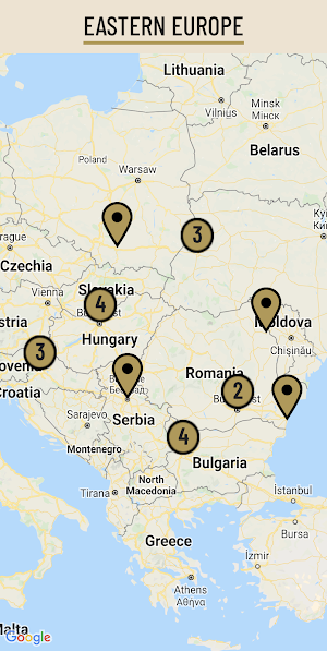 European Fascist Movements Screenshot 2