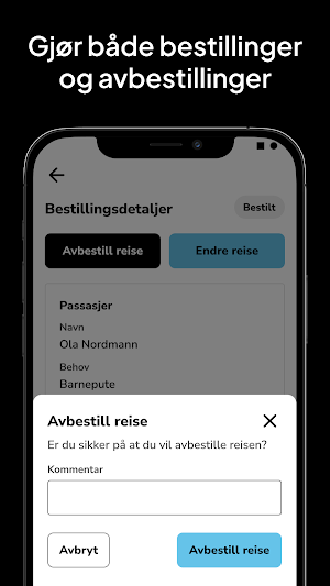 Cabonline Service Trips Screenshot 3