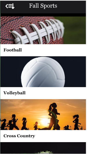 Pipestone Sports Screenshot 2