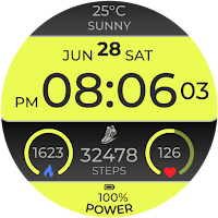 Champion Spirit Watch Face