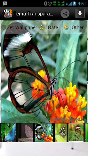 Tema Transparan Screenshot 2