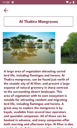 Qatar Tourism Guide Screenshot 3