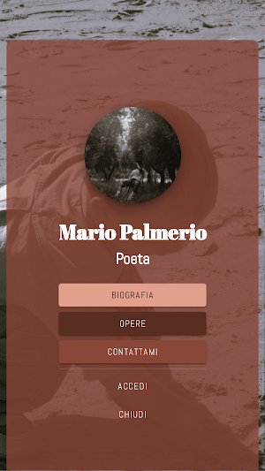 Mario Palmerio Screenshot 1