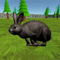 Rabbit simulator