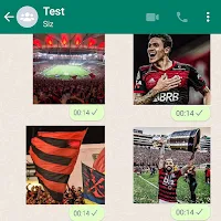 Figurinhas do Flamengo Sticker