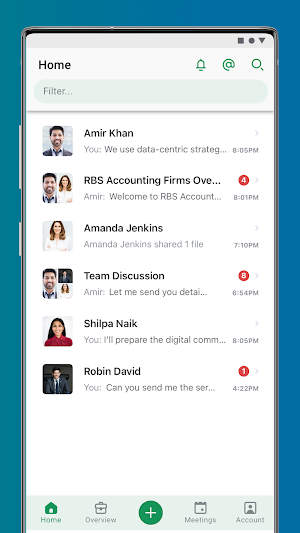 RBS RAVIS AUDITORS Screenshot 3