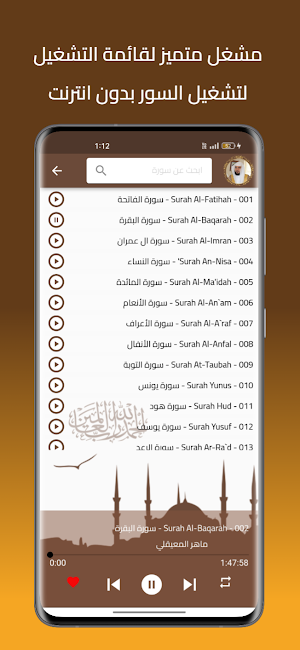 ماهر المعيقلي قرأن بدون نت Screenshot 1