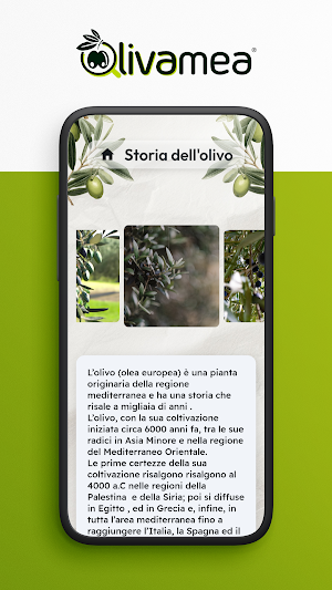 olivamea Screenshot 1