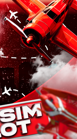 Fly Sim Pilot Screenshot 2