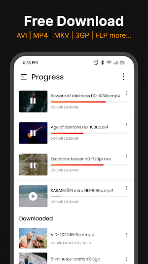 Video Downloader Screenshot 1