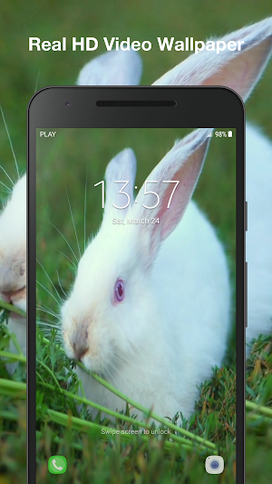 Cute Bunny Live Wallpaper Screenshot 3