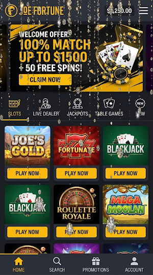 Joe Fortune Screenshot 3