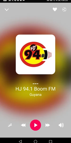 Guyanese Radio Stations Screenshot 2