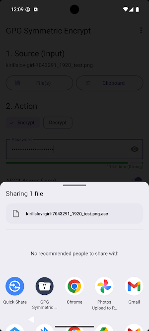 GPG Symmetric Encrypt Screenshot 2