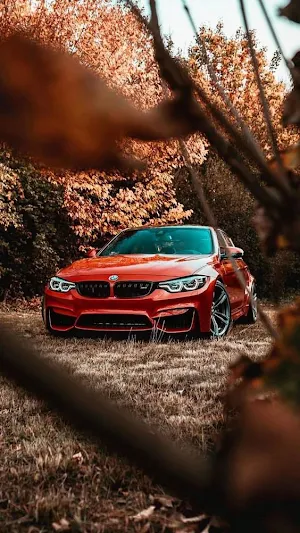 BMW Car Wallpapers HD Screenshot 0