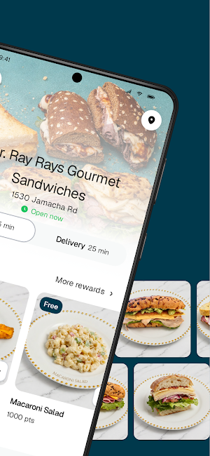 Mr. Ray Rays Sandwiches Screenshot 1