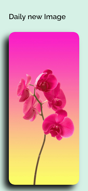 Vivo Y51  Wallpapers Screenshot 3