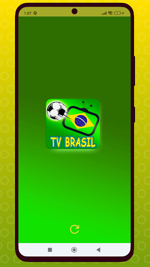 TV BRASIL- FUTEBOL AO VIVO Screenshot 0