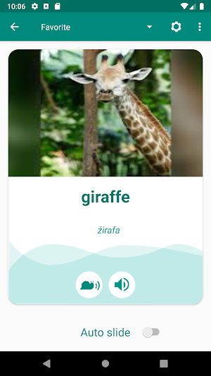 Czech English Dictionary Screenshot 2