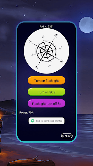 Compass Light Screenshot 1