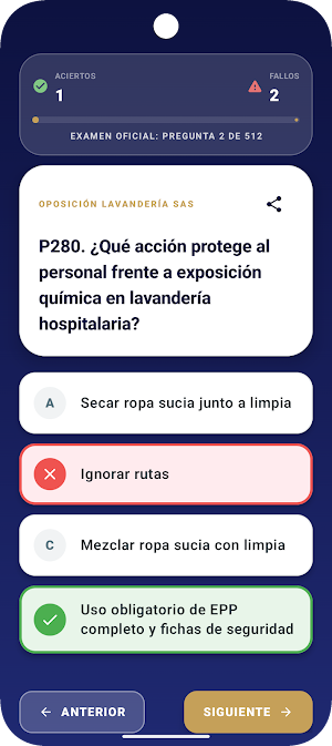 Test Lavandería SAS Screenshot 1