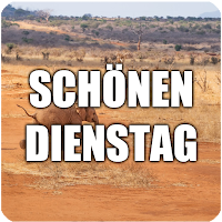 Schönen Dienstag  - Bilder und Phrasen
