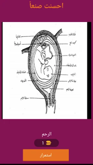 كراش في الاحياء تكاثر Screenshot 1