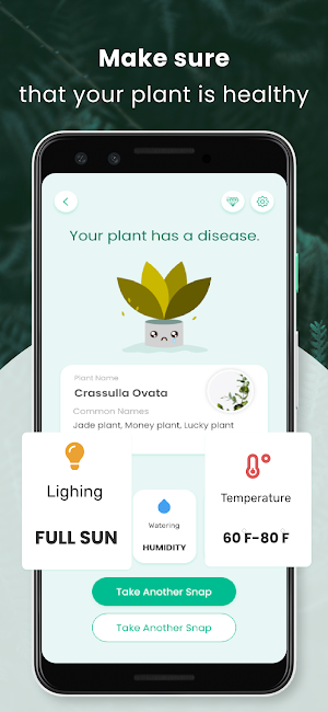AnyPlant: AI Plant Identifier Screenshot 3