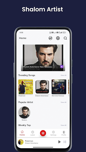 Shalom Artist Screenshot 1