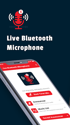 Bluetooth mic speaker Screenshot 0