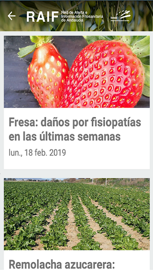 RAIF Andalucía Screenshot 3