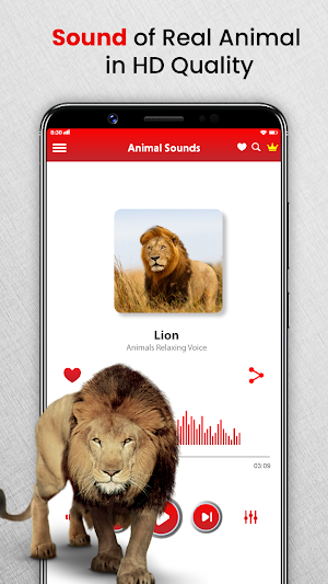 Animal Sounds Birds Ringtones Screenshot 3