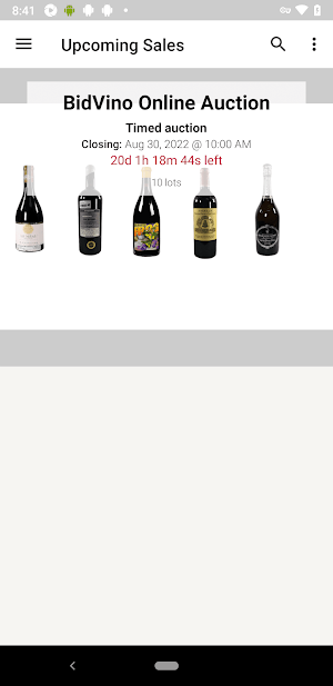 Bidvino Auction Screenshot 0