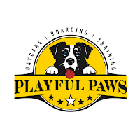 Playful Paws