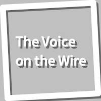 Book, The Voice on the Wire