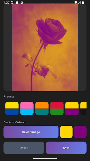 Duotone Photo - 2 Color Effect Screenshot 2