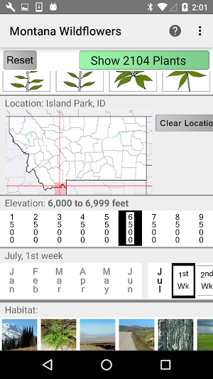 Montana Wildflowers Screenshot 1