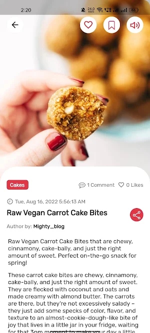 Food Blog Screenshot 3