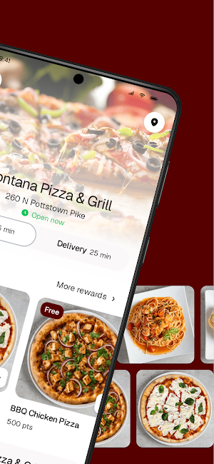 Fontana Pizza & Grill Screenshot 1