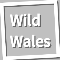 Book, Wild Wales