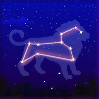 Night Sky Map: Star Gazer View