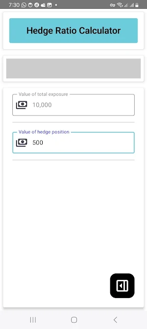 Hedge Ratio Calculator Screenshot 1
