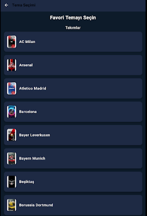 NetPlayer Screenshot 0