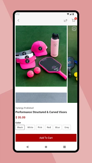 Synergy Pickleball Screenshot 1