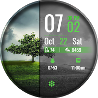 Nature Dream Watch Face