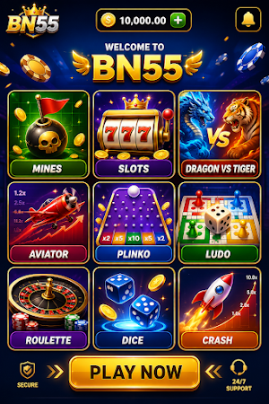 bn55 game Screenshot 0