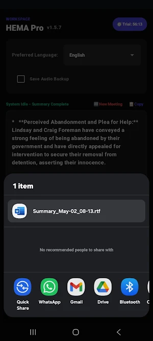 HEMA Transcriber Screenshot 3