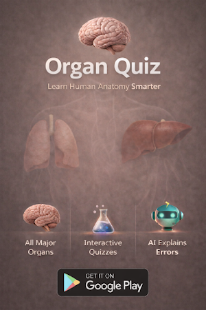 Organs Quiz Screenshot 0