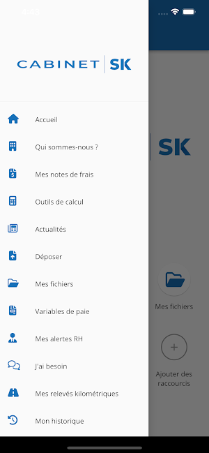 CABINET SK Screenshot 2