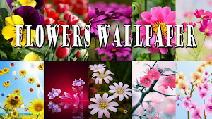 flower wallpaper Screenshot 1
